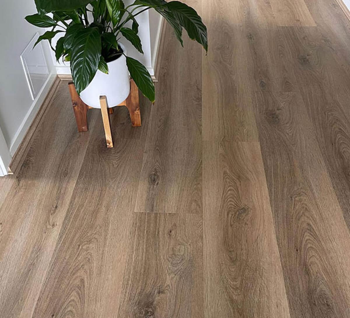 Flooring Solutions Company Brisbane Gold Coast Perfect Floors