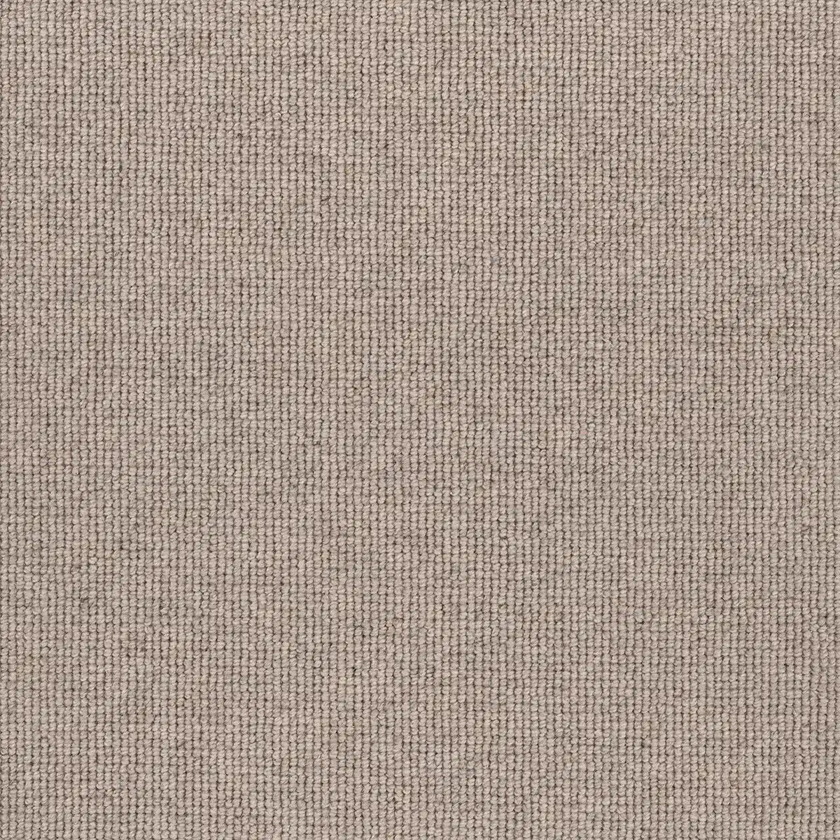 Hause - Perfect Floors